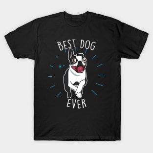 Boston Terrier Best Dog T-Shirt